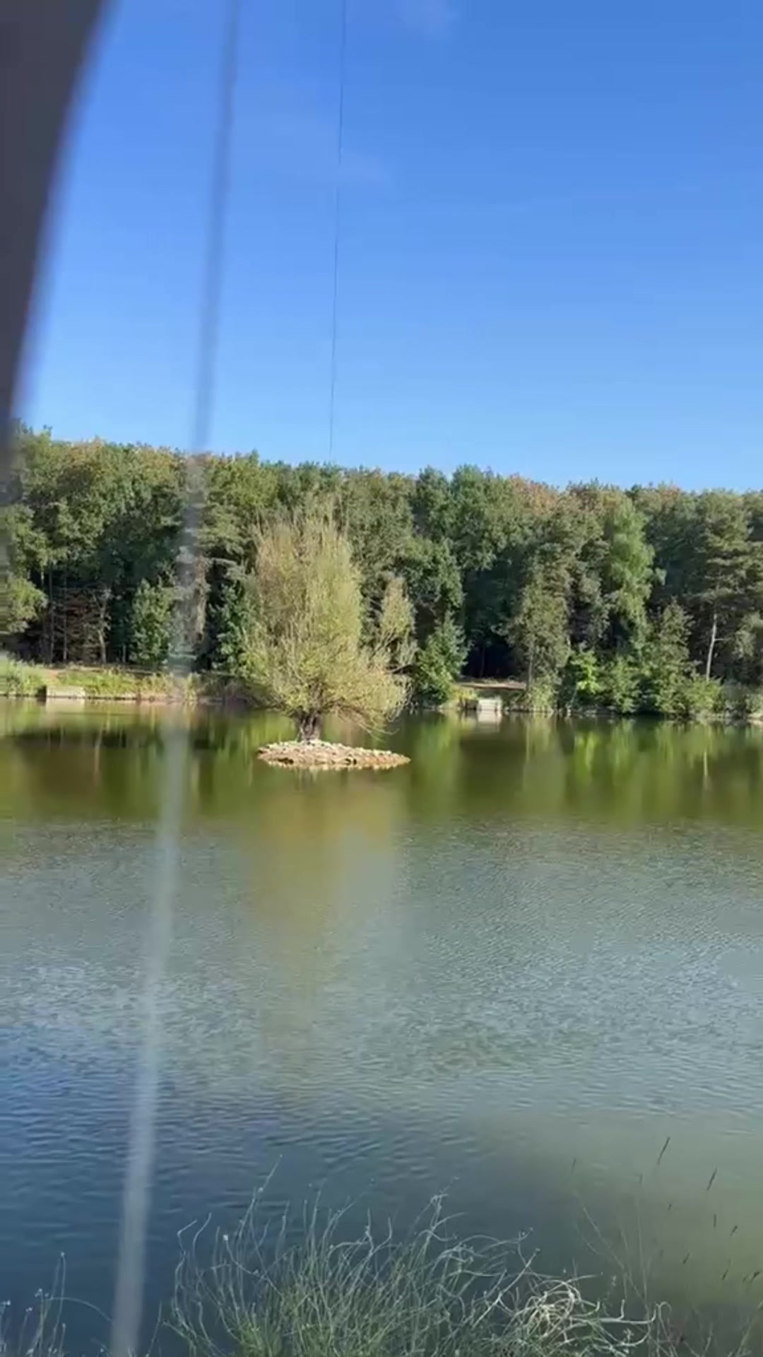 @Wildboy🎣🔥 European Monster