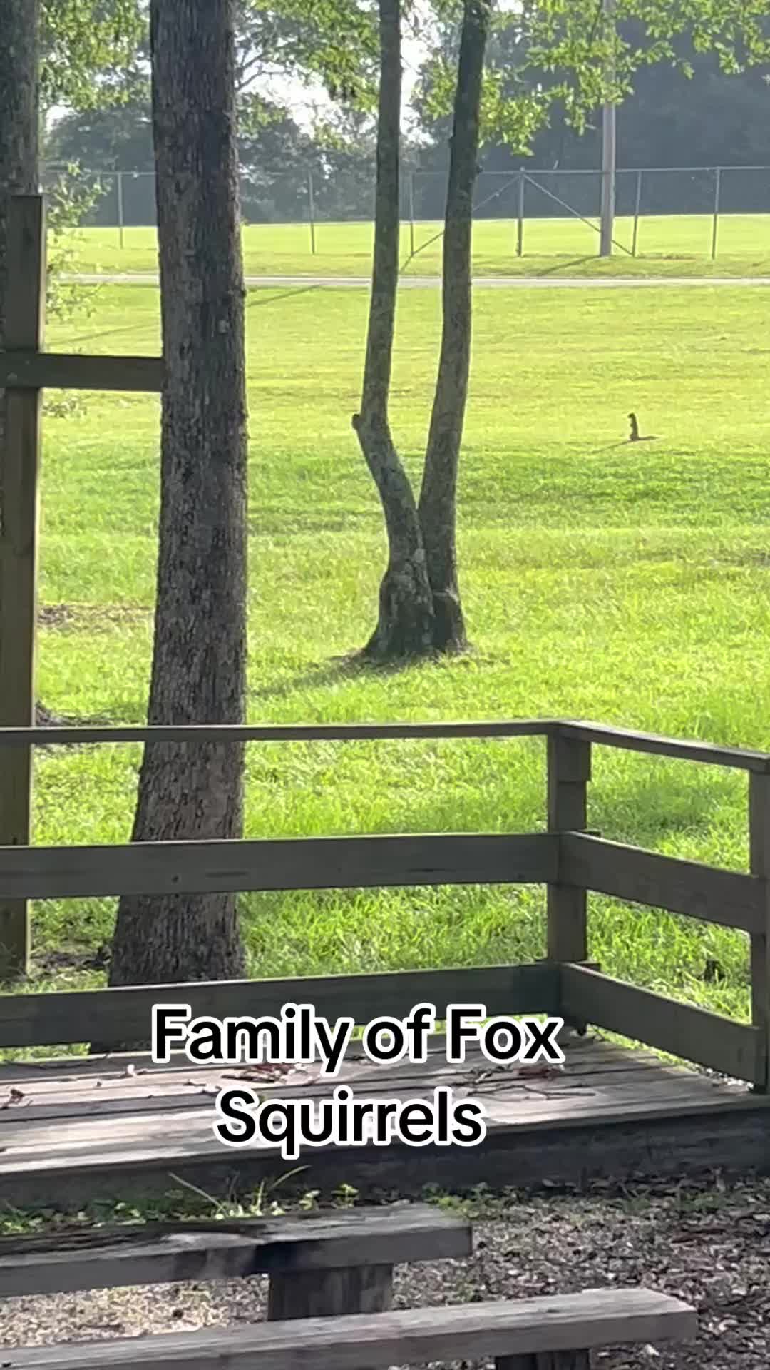 @devotedsportsmen23