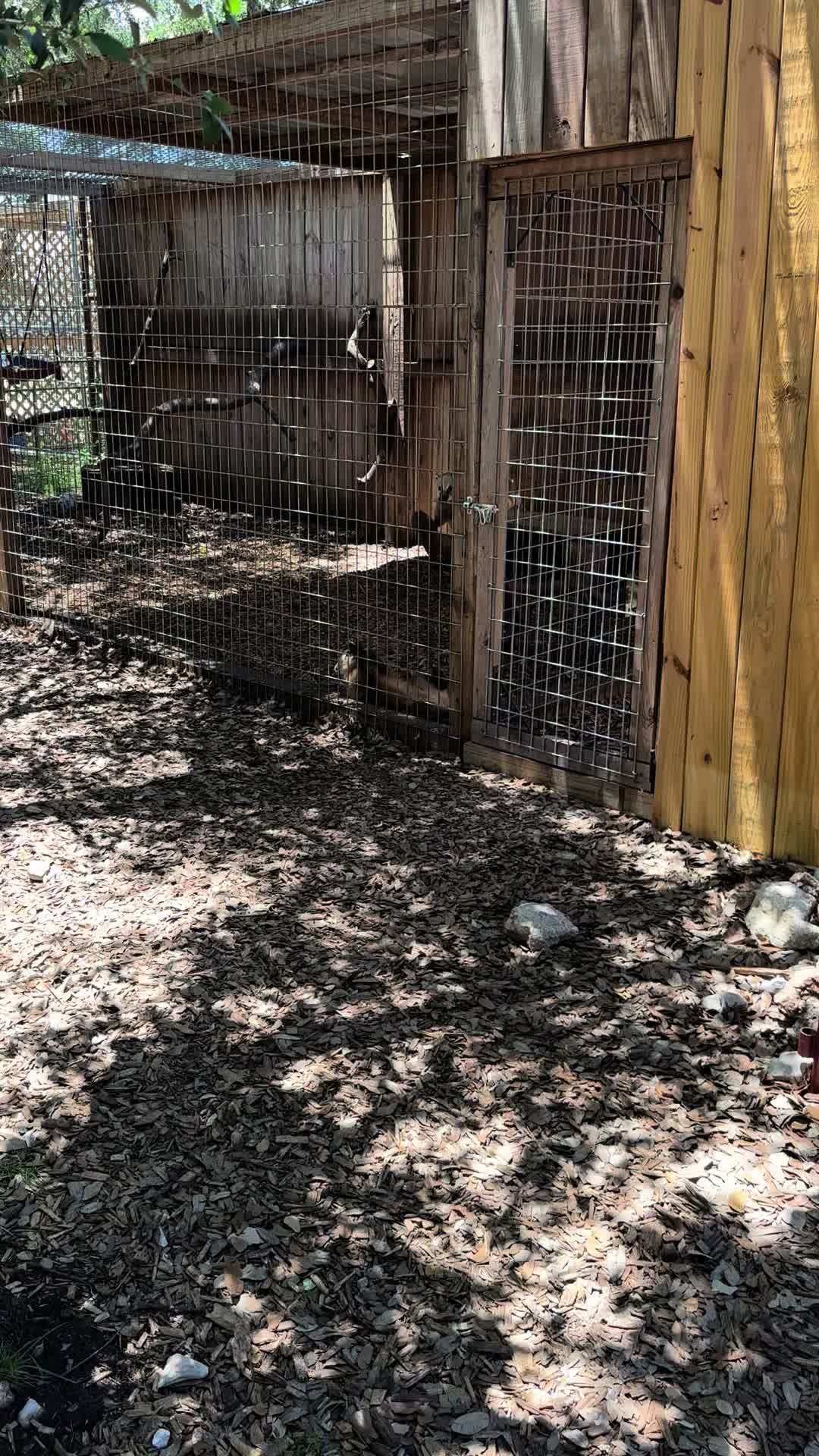 @Texas Wildlife Park