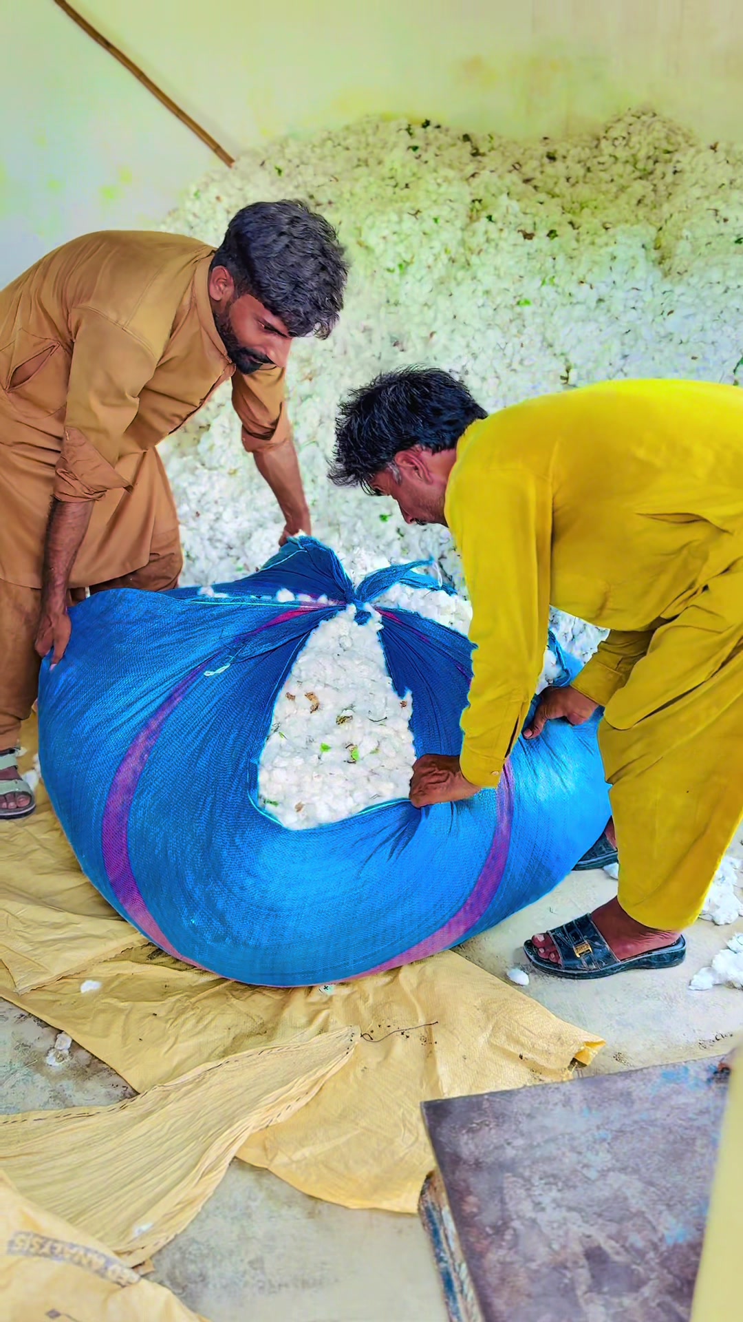 @sajarahmani