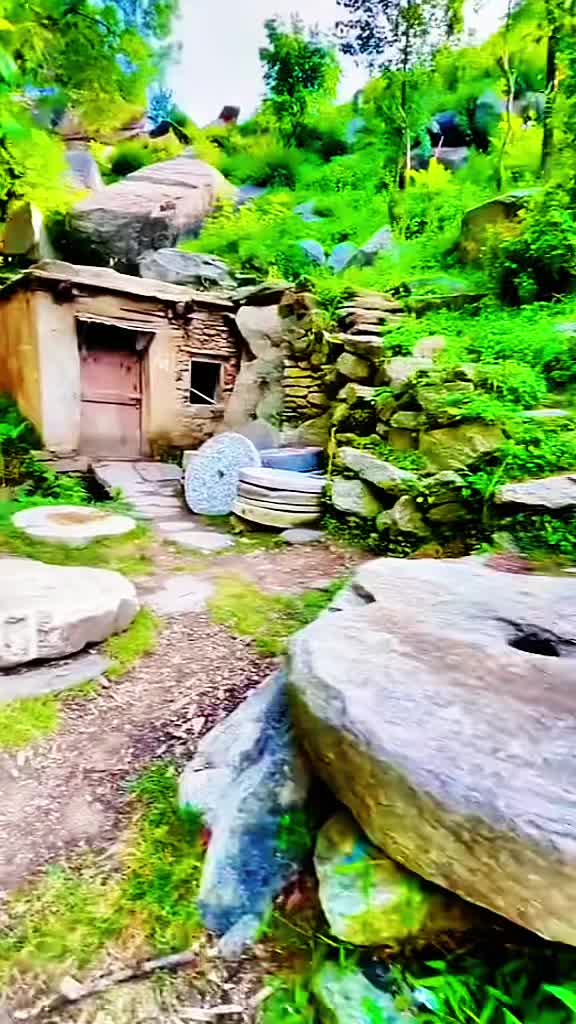 @🫀کـرمیــــوال زڑگــــو🫀