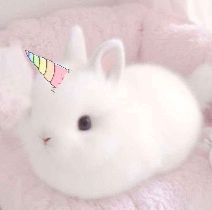 @𝓙𝓪𝔂𝔂ʕ⸝⸝⸝˙Ⱉ˙⸝⸝⸝ʔ🦄🪽
