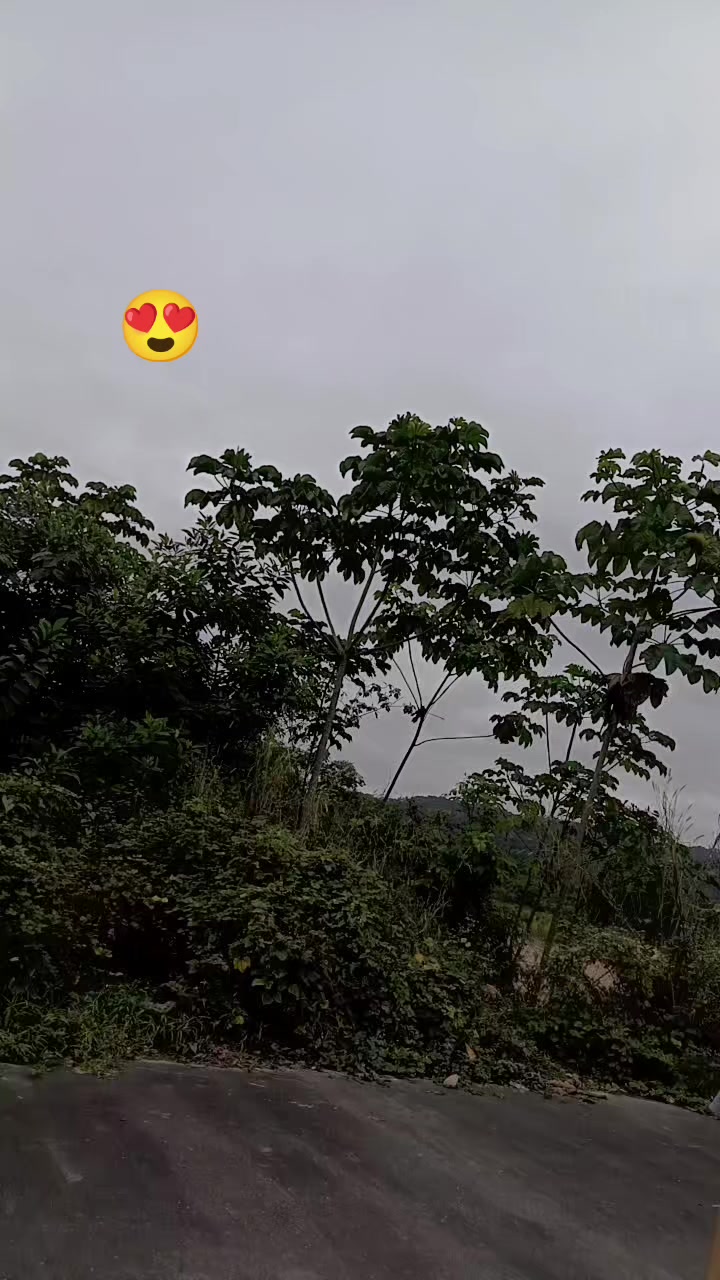@yuli calle