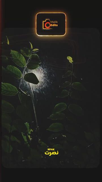 @ابنِ آدم