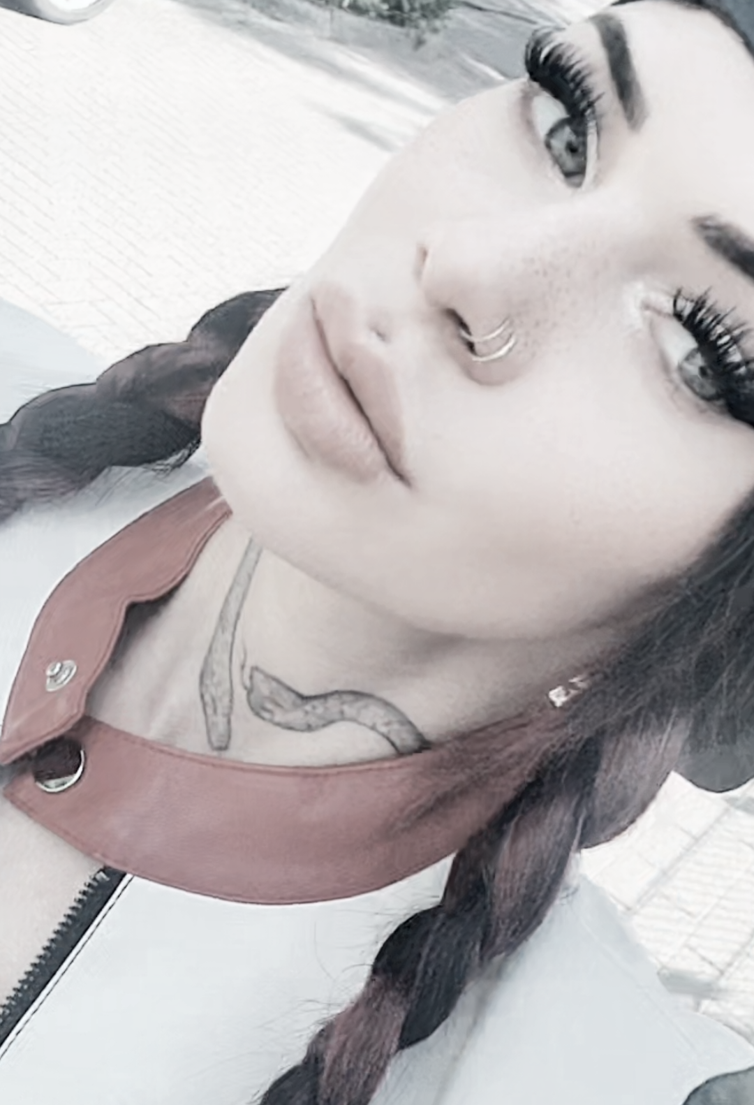 @♤🔥𝔇𝔦𝔟𝔦𝔞𝔫 ℭ𝔞𝔱 666🔥♤