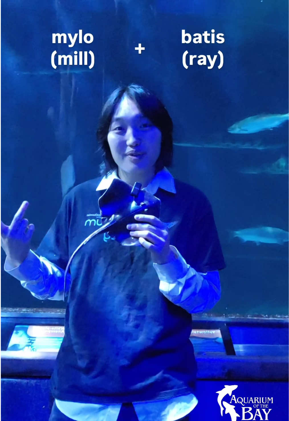 @Aquarium of the Bay