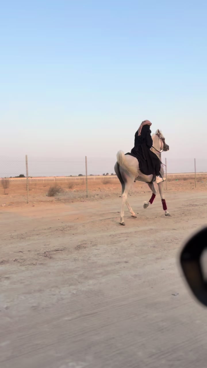 @فَآطُمہ صالح 🐎