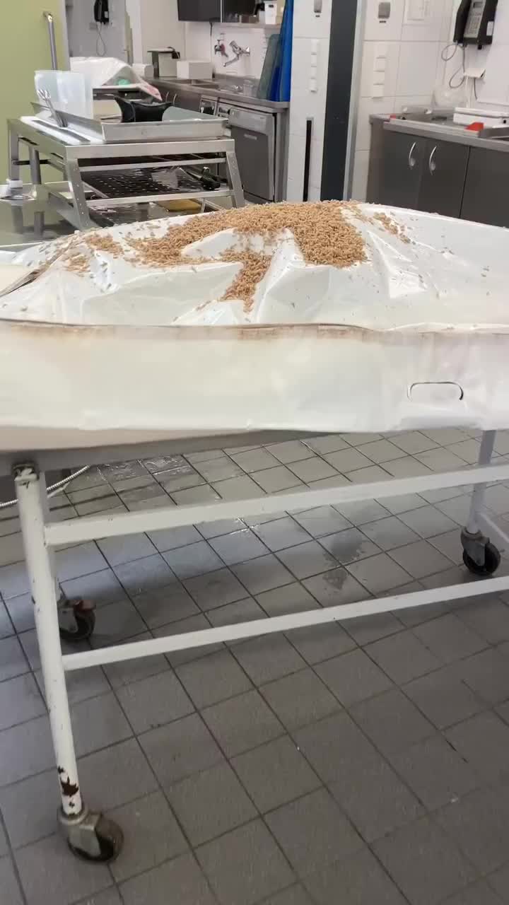 @Aɴɴᴀʙᴇʟ