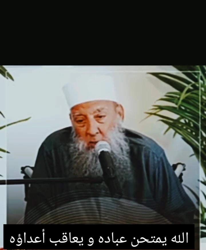@المستشار سعد عرفه
