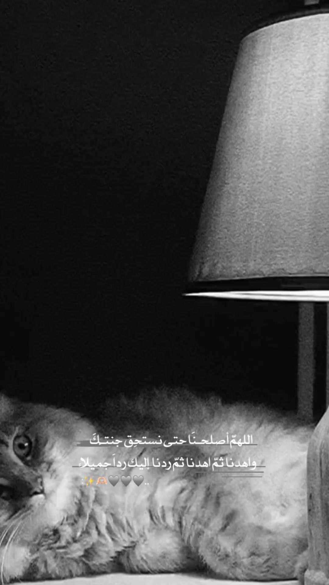 @تَرْتِيلٌ | Tartil