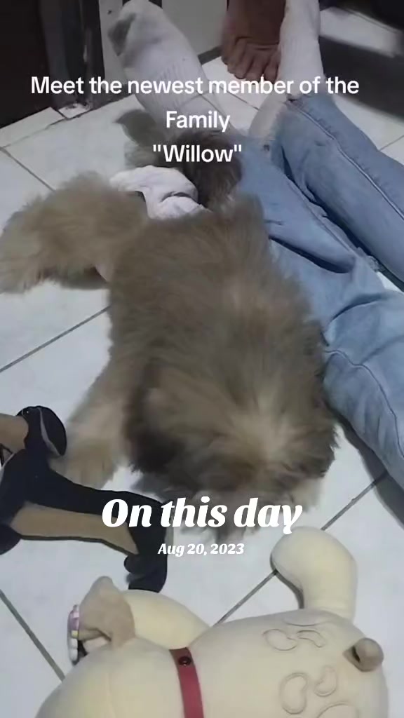 @PAPS (VV IU) CM NG CG