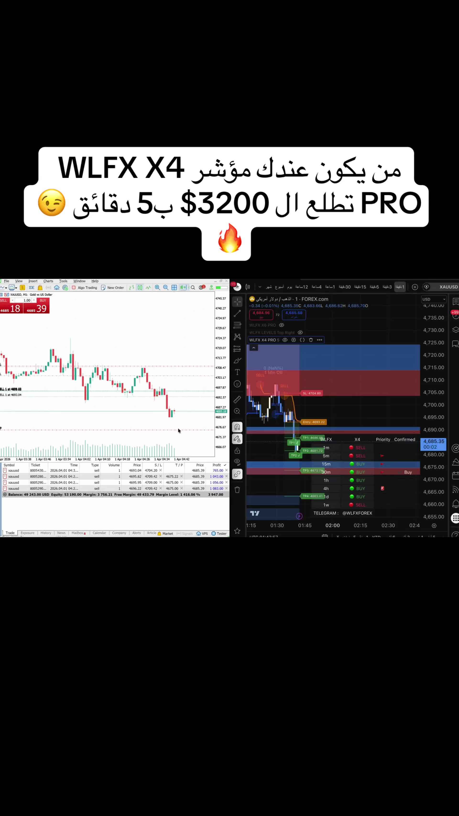 @WLFX.forex