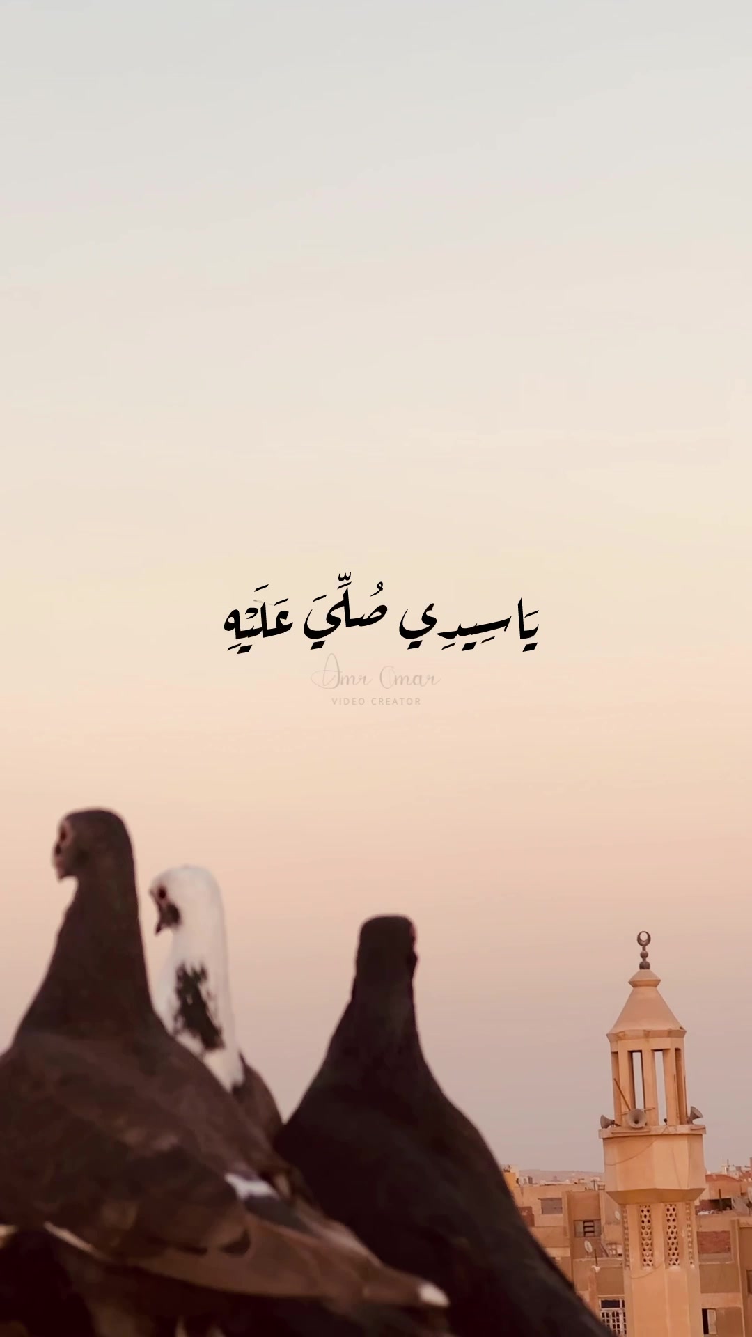 @﮼عمرو﮼عمر🕊️