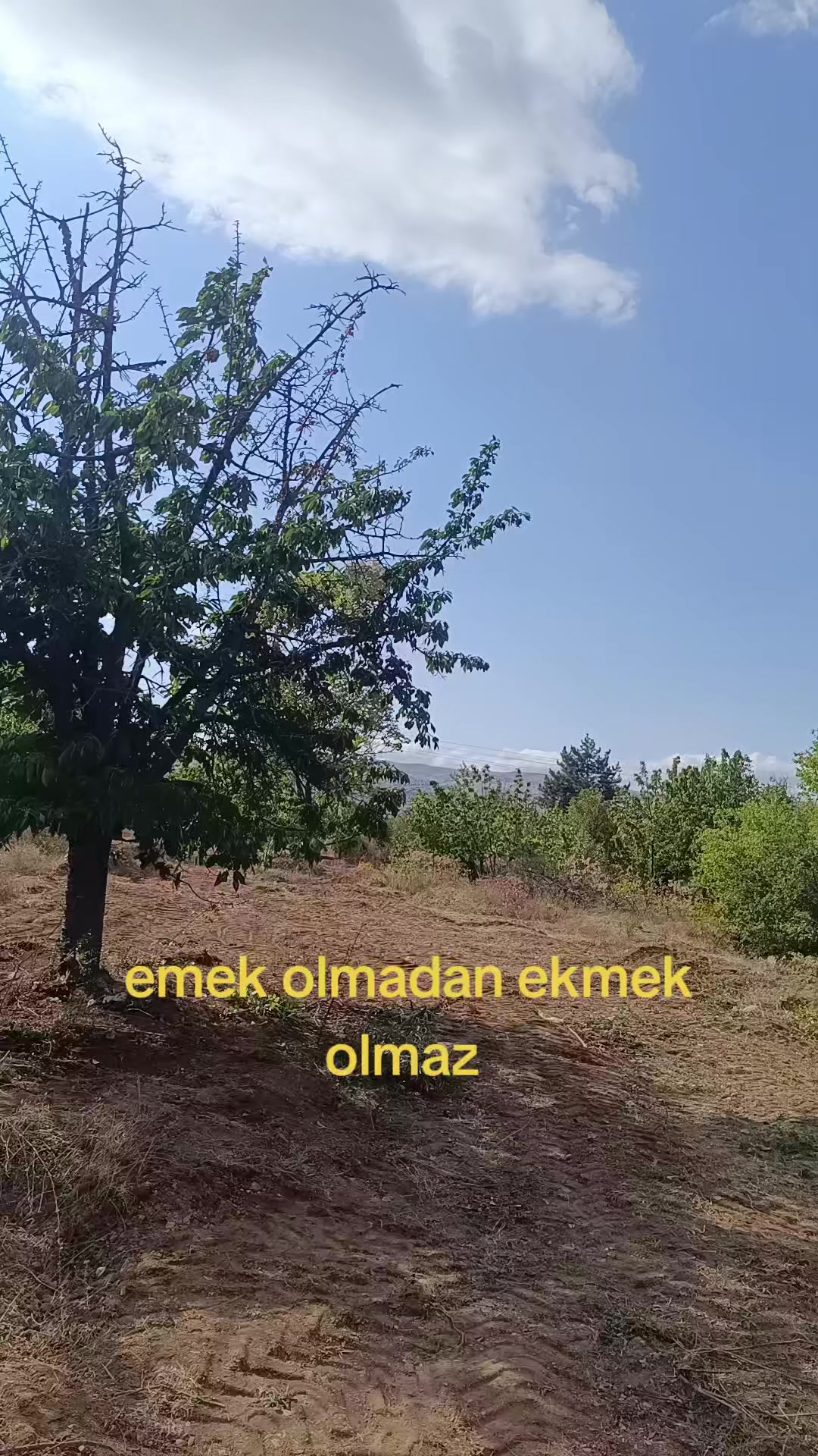 @Duran Karakaş