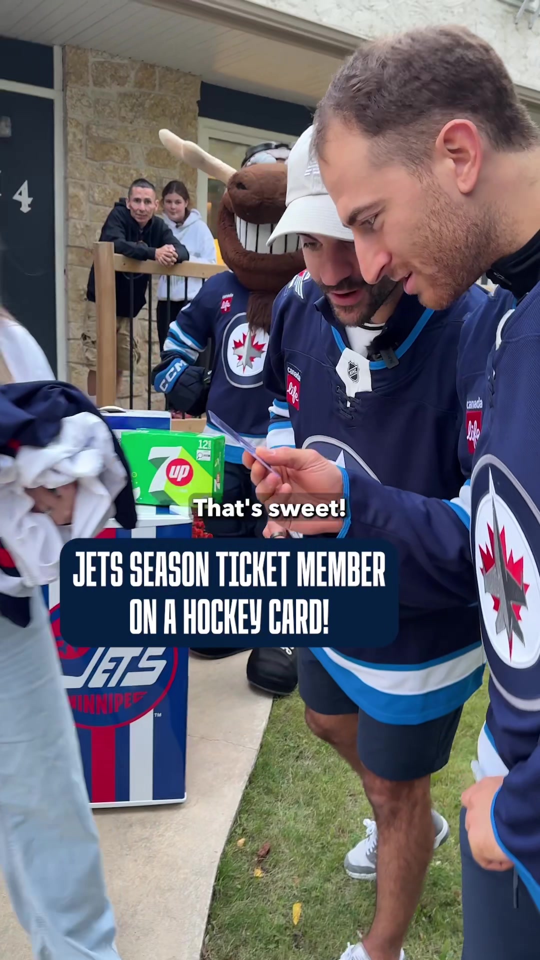 @Winnipeg Jets