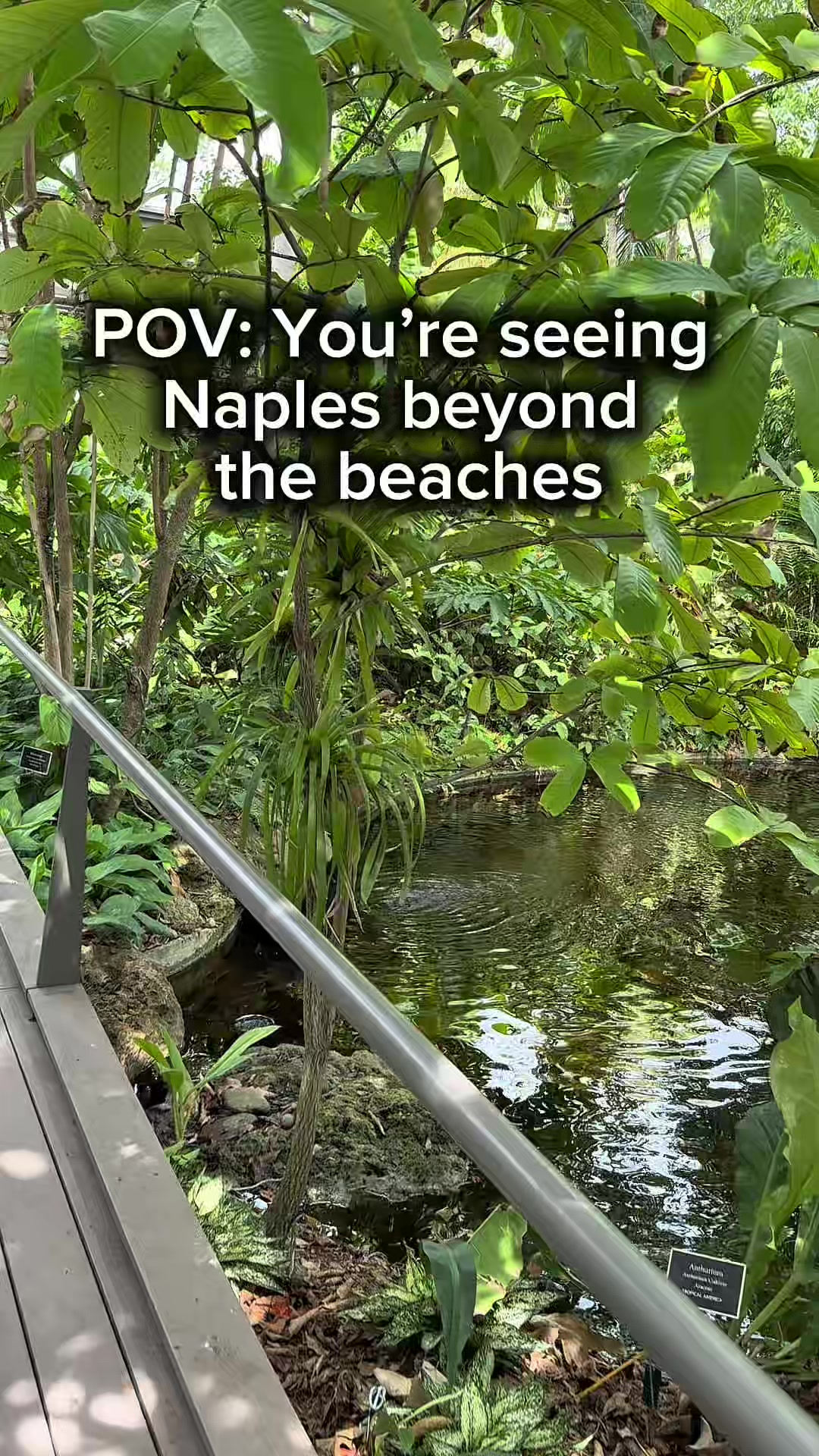 @Marcela | SWFL explorer
