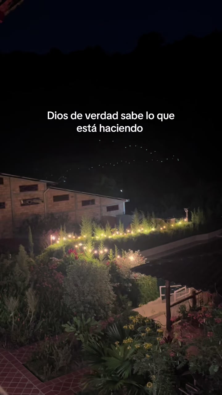 @Lili🩵