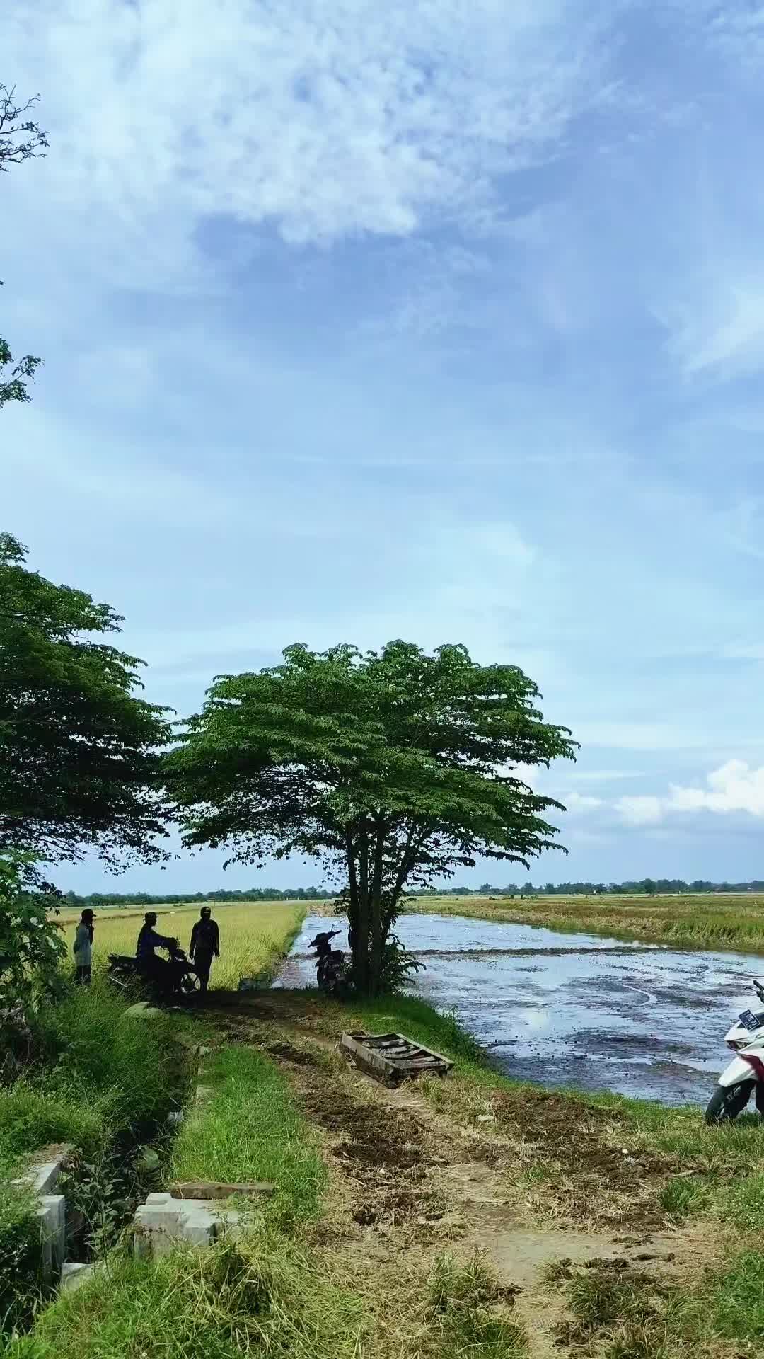 @suroyo88