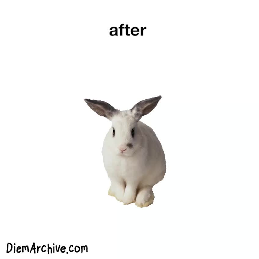 @DiEM ARCHIVE