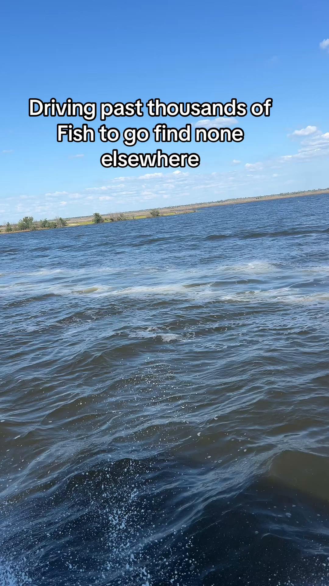 @🏝️girlpirate🏴&zwj;☠️🧜&zwj;♀️ 🎣Capt