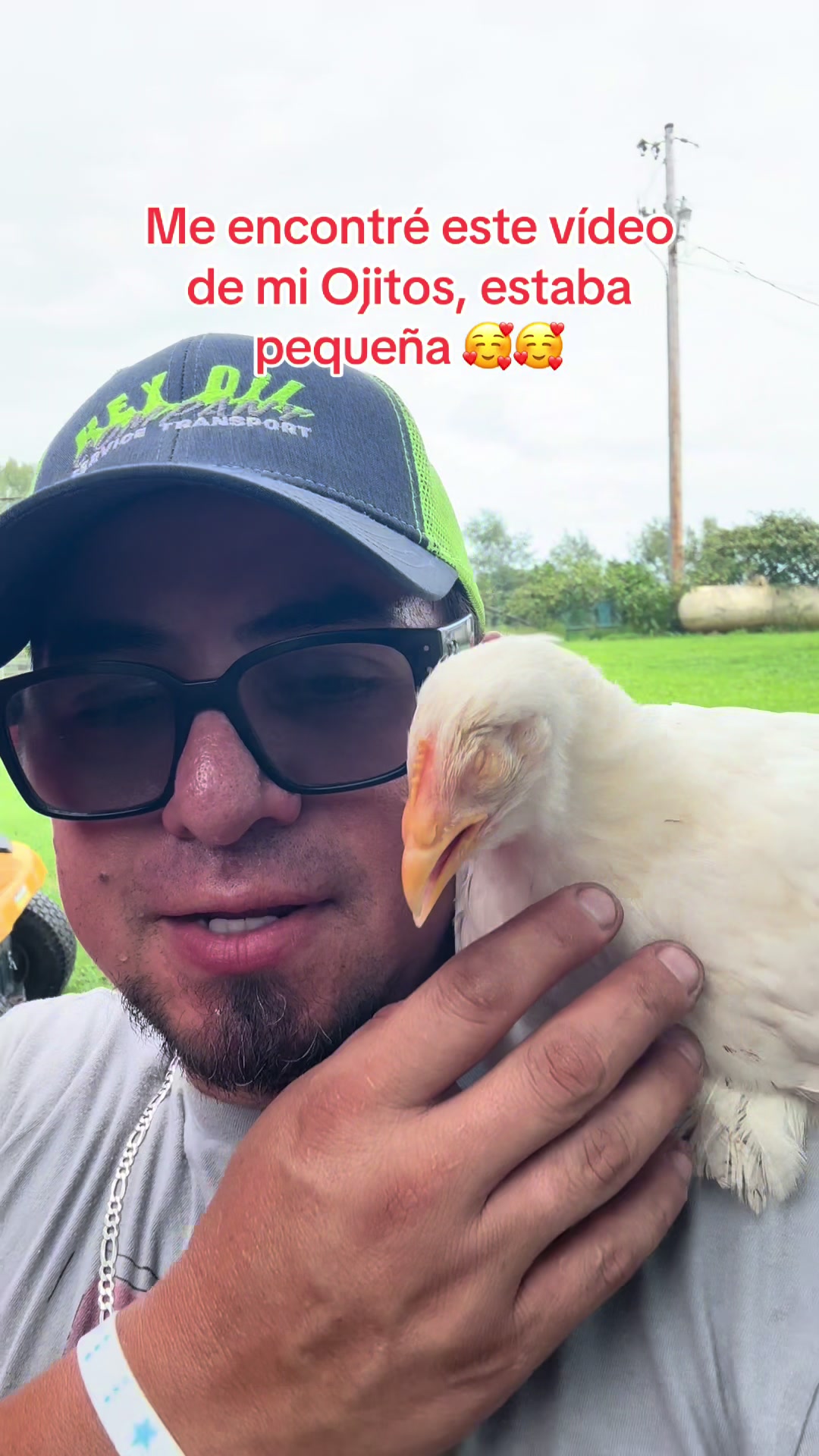 @WILSON DÍAZ