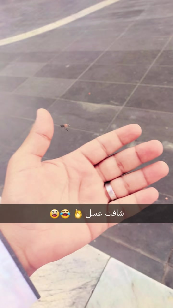 @عباس اليماني 🇾🇪🤍 🇸🇦