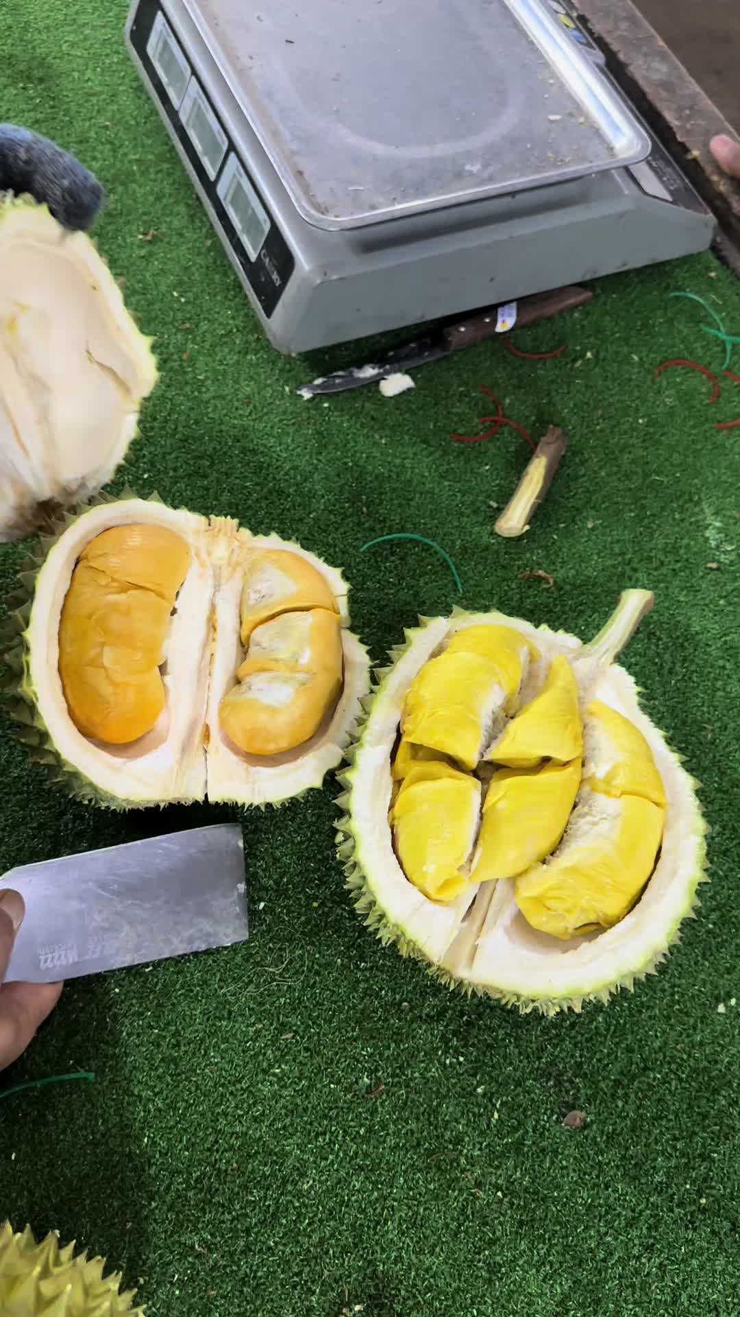 @Durian Batu 6
