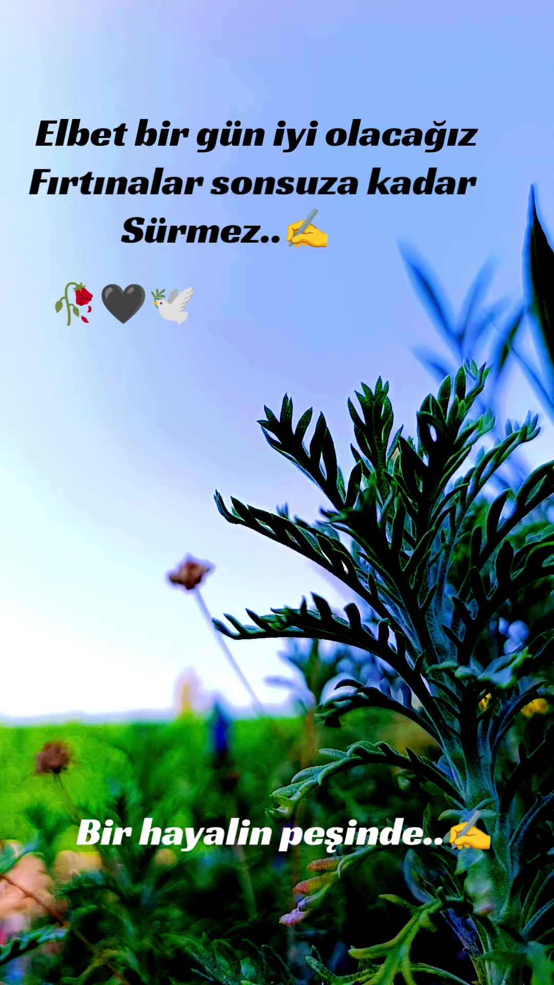 @35 _ D.E.V.R.A.N _ 65