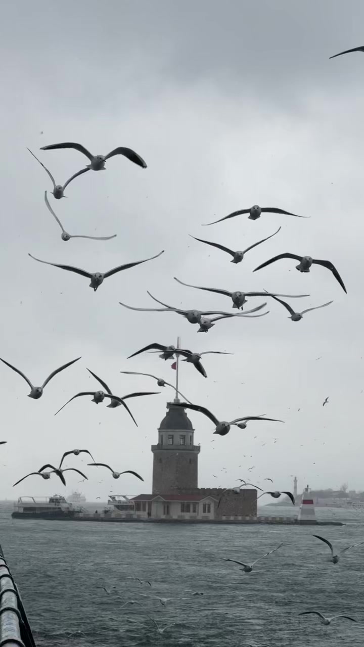 @travelerbedir