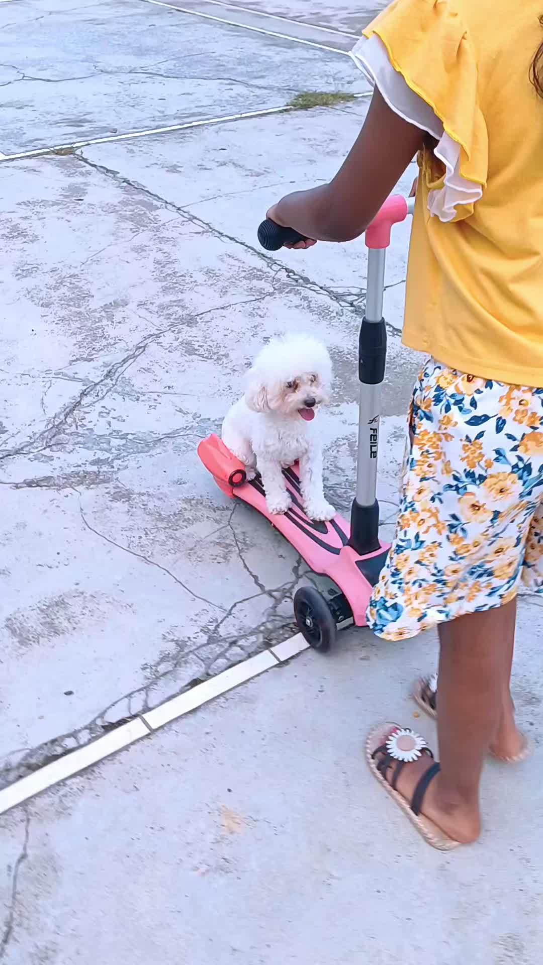 @Ar_styles_rao 🇸🇬🇲🇾🇩🇪