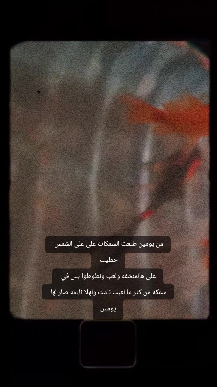 @𝒜𝒾𝒹𝒶