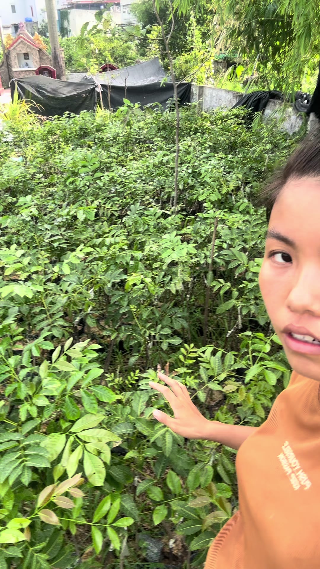 @Nhà Vườn Vũ Mai