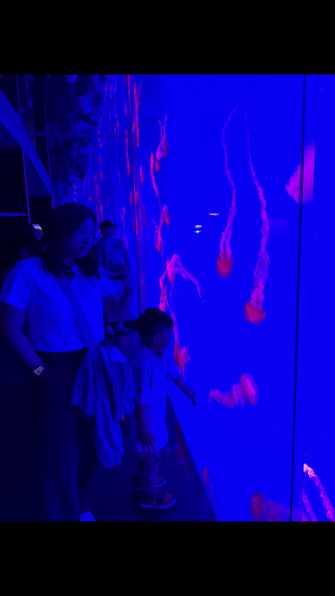 @Maxxengg