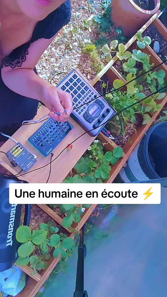 @Dr Free Fr&eacute;quences