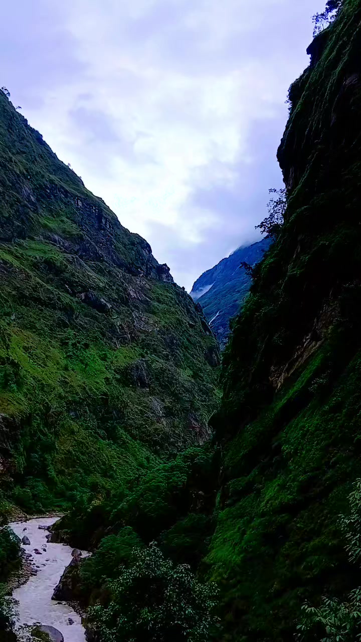 @मिरा♥️ शिबाकोटि