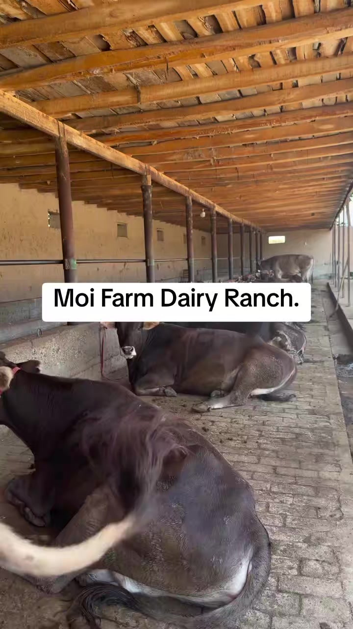 @MOI FARM KABARAK.(sponsered)