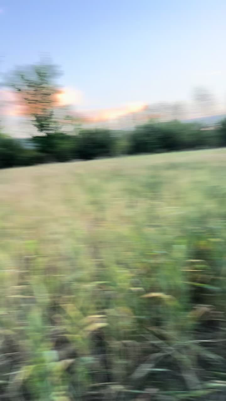 @ملنگ جان