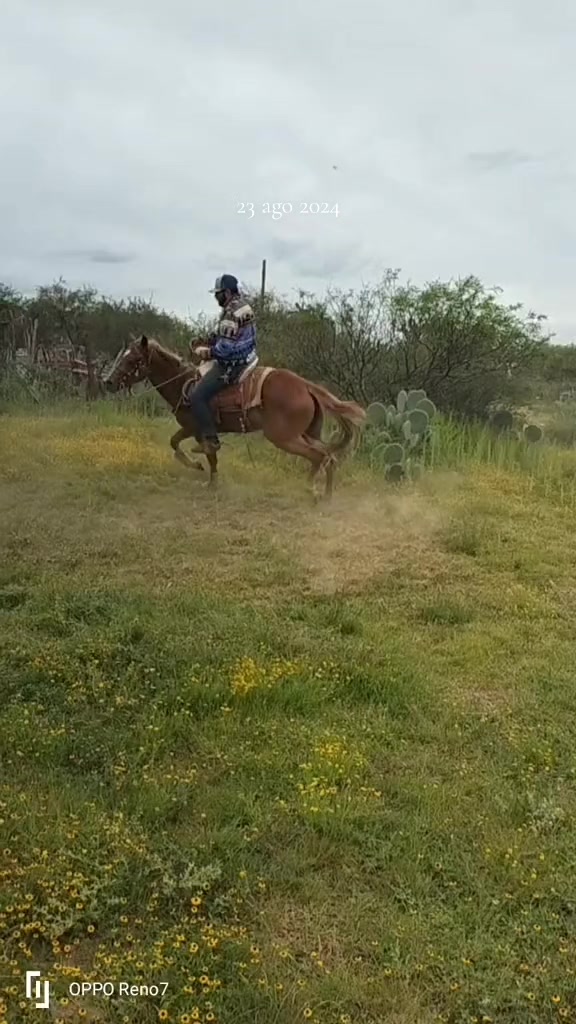 @Viejito Cordova✝️🍀❤️🐎🦅