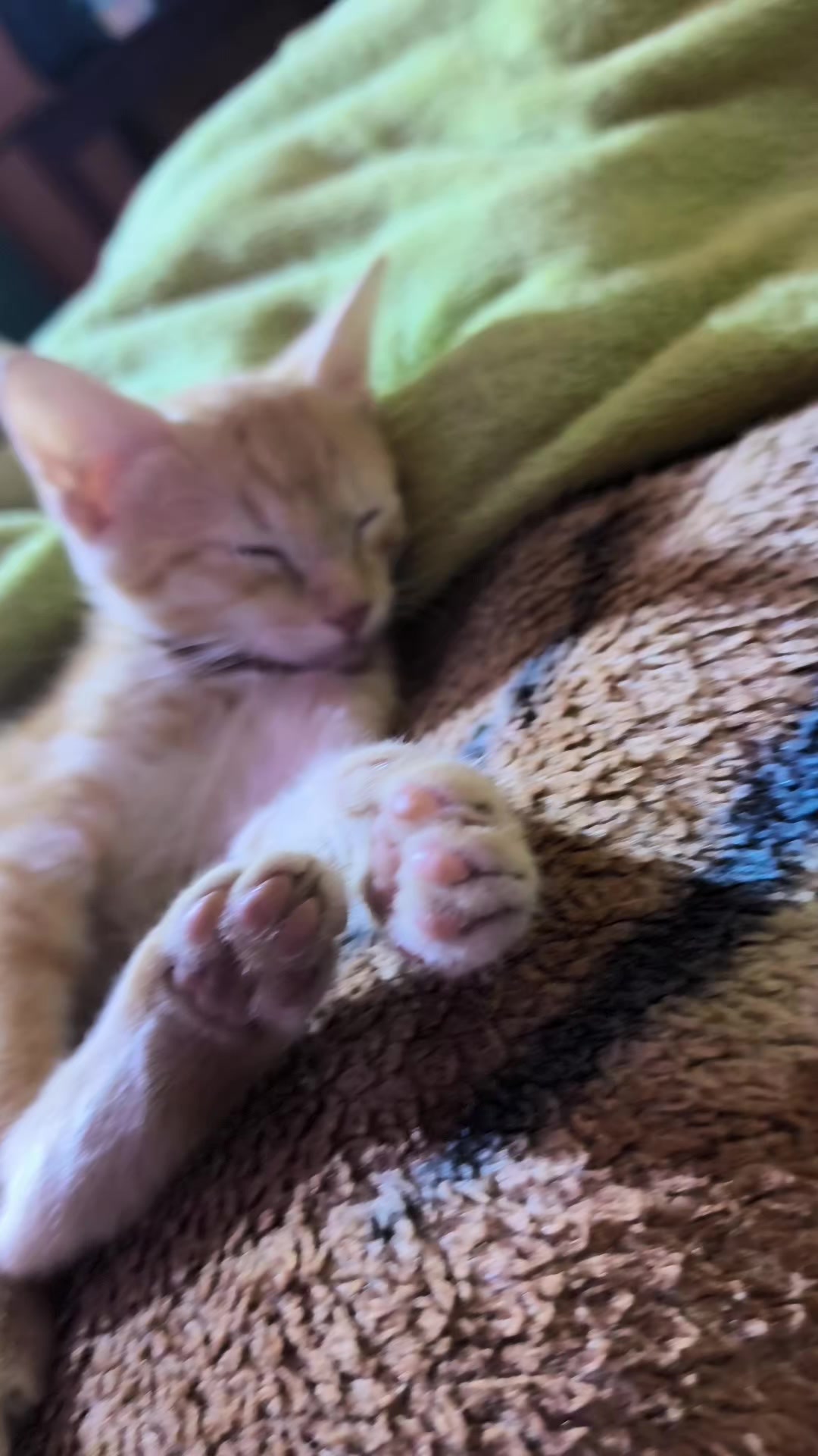 @𝐌𝐢 𝐫𝐞𝐢𝐧𝐚💕💞🌈