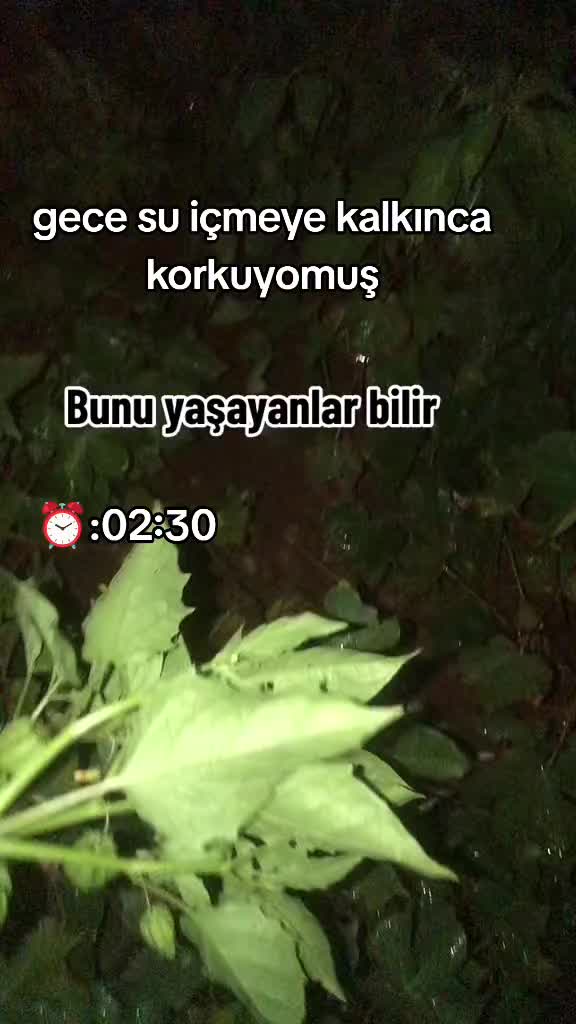 @Emrah Ceylan