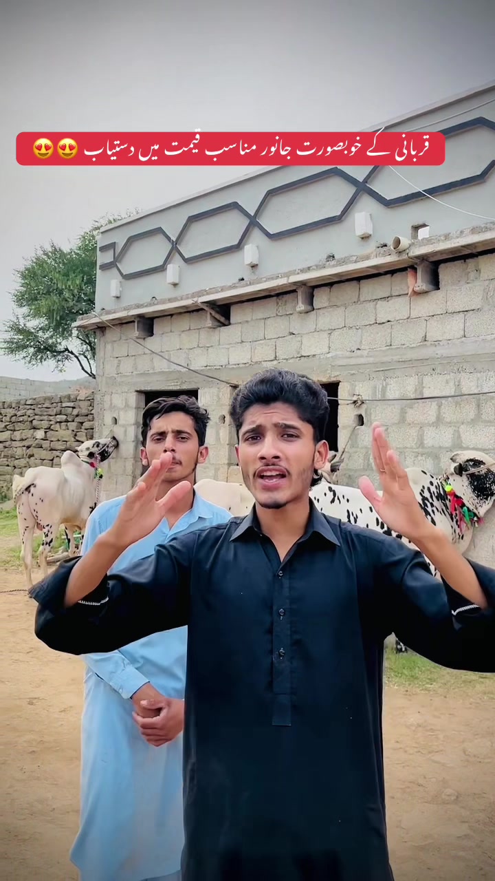 @Raja Moiz vlogs