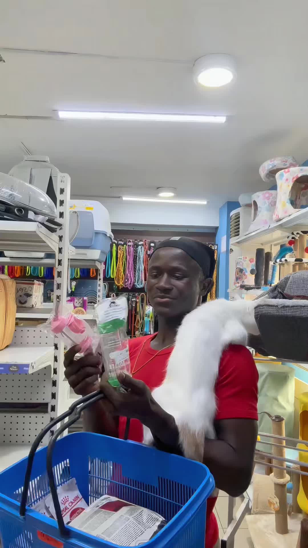 @N a k a m u r a 🐈