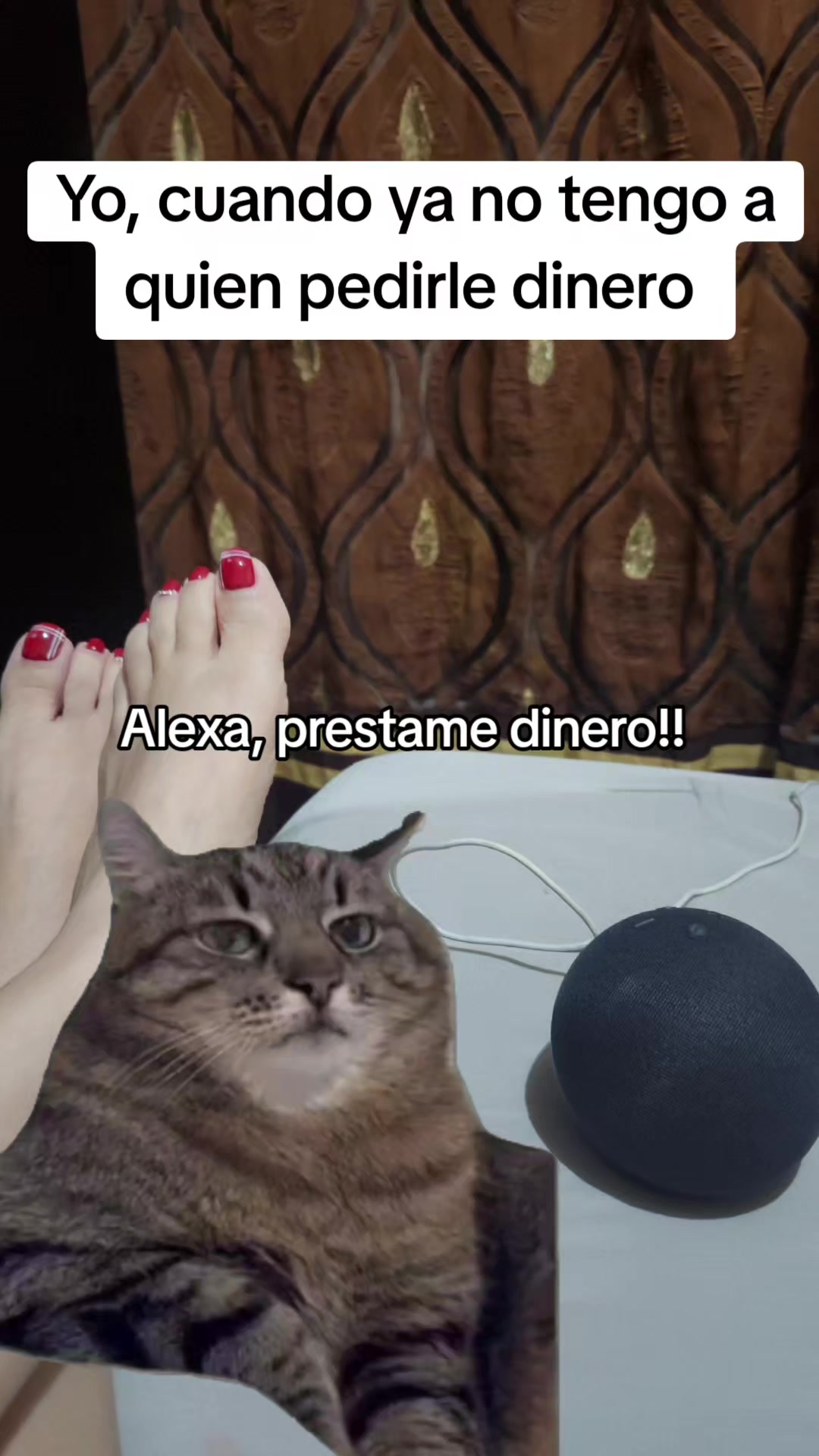 @Misinguita Cárdenas 😻
