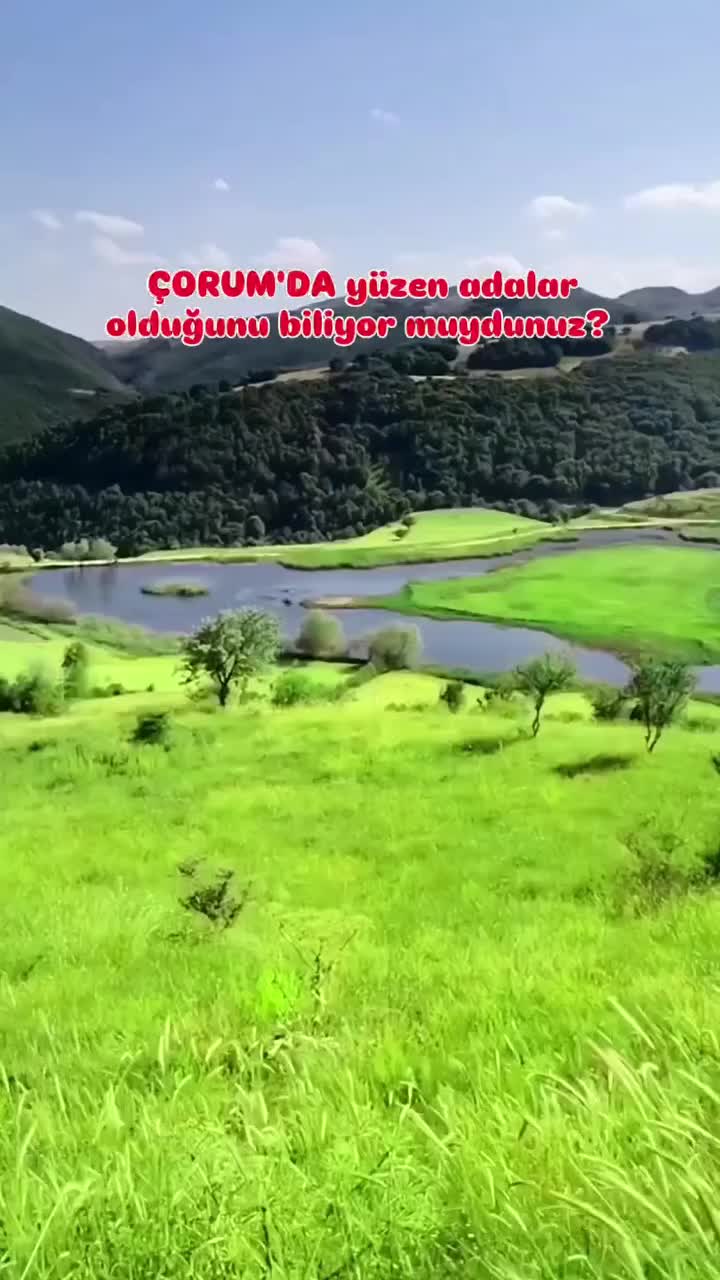 @Avrupadaki_Corumlular_19