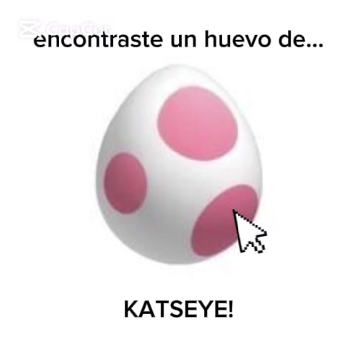 @Aylin_notazuky