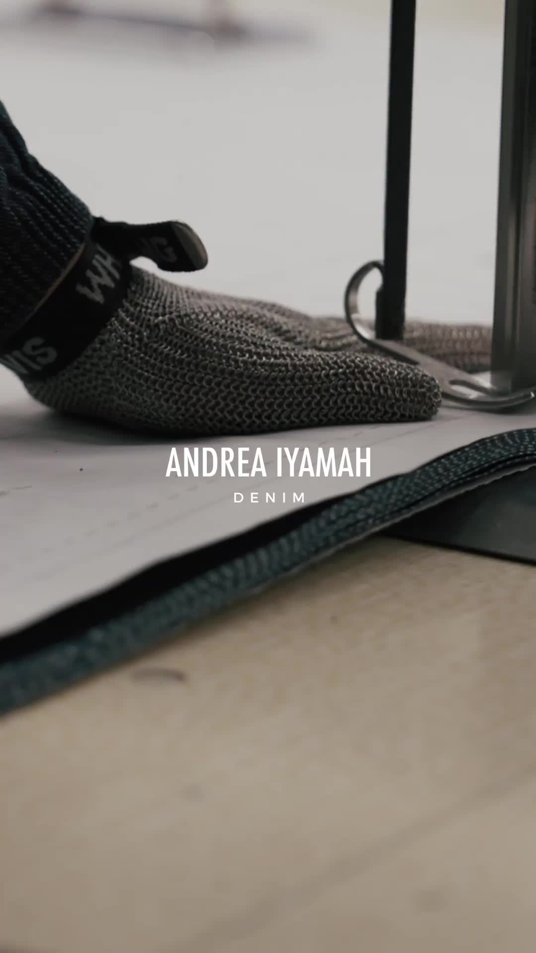 @Andrea Iyamah