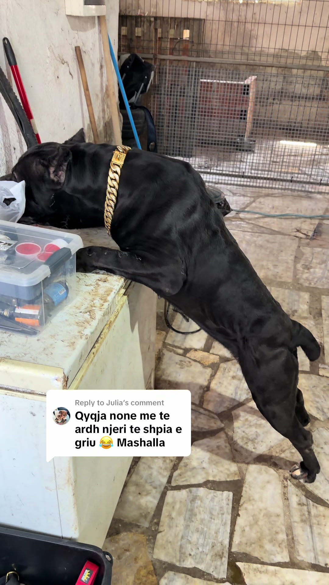@guardiani_di_lako
