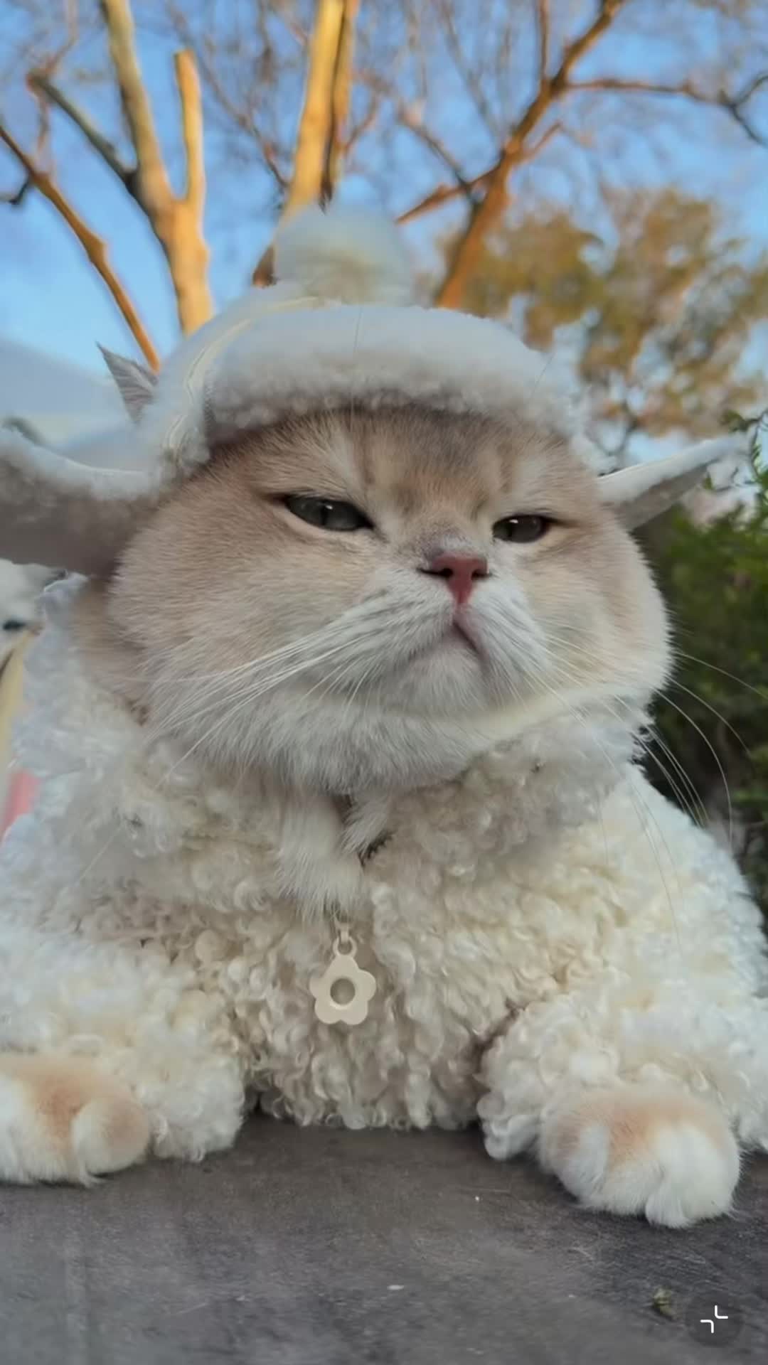 @My Daily Dose of Aww