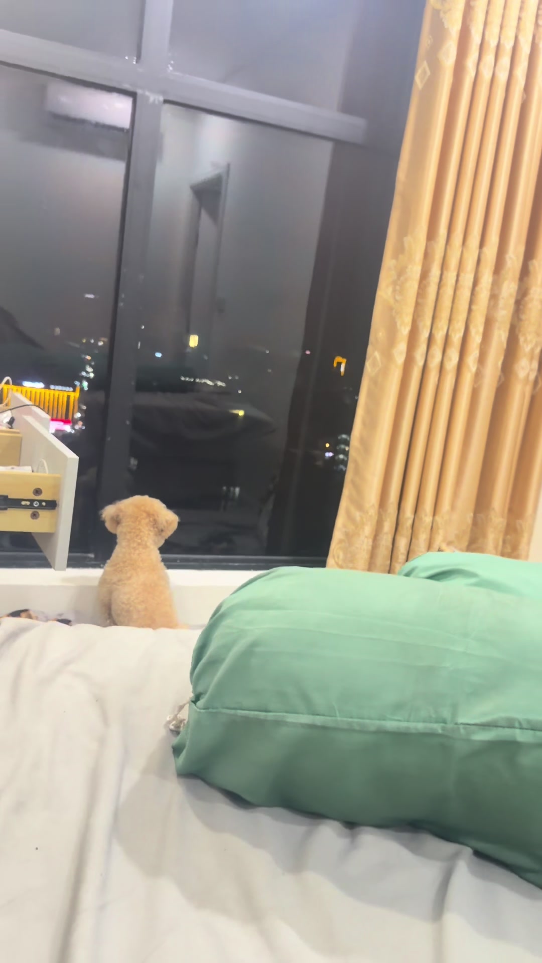 @瑶瑶🎧
