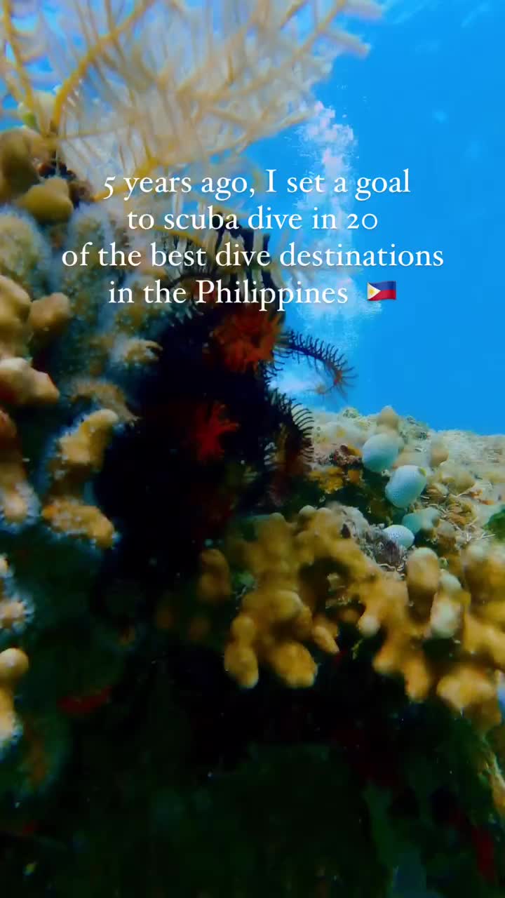 @Scuba Diving with Ara